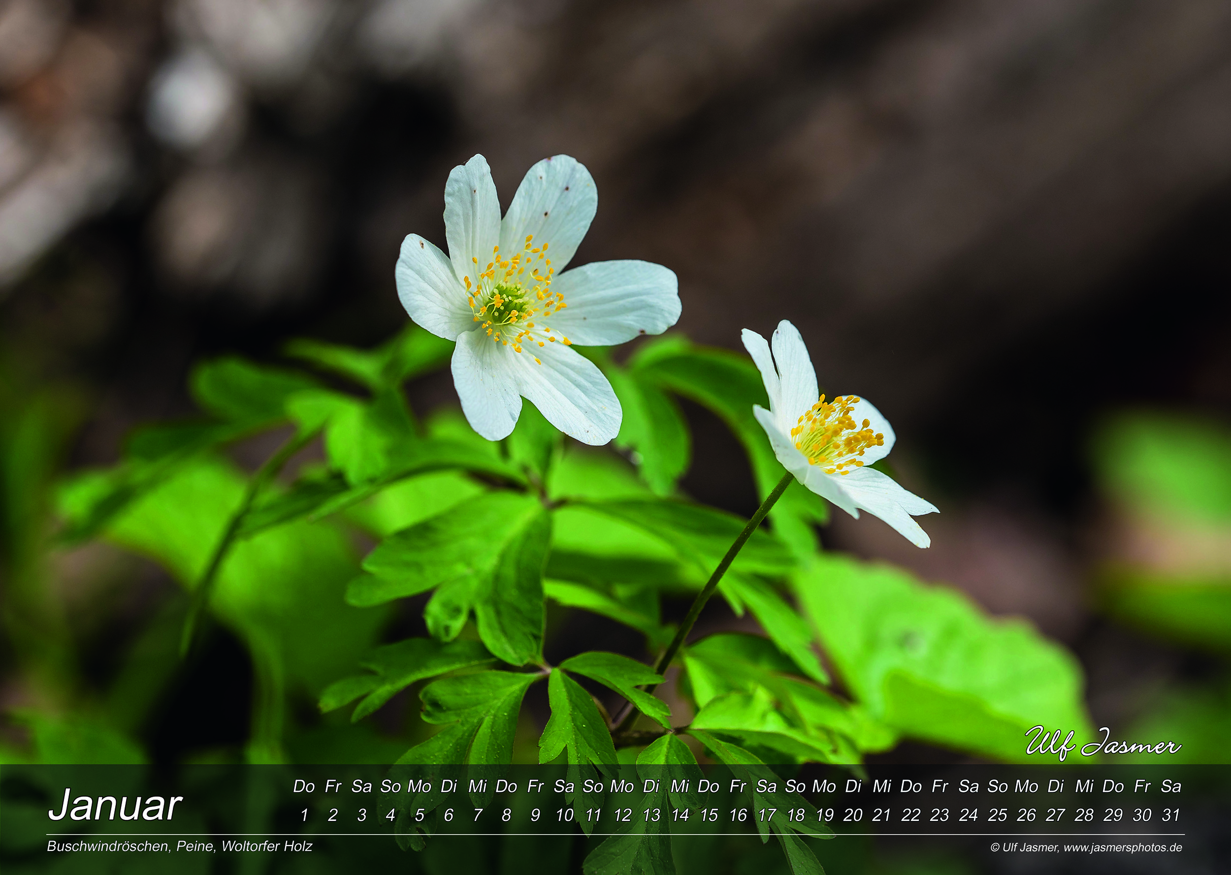 Kalender Flora & Fauna 2026 - 01