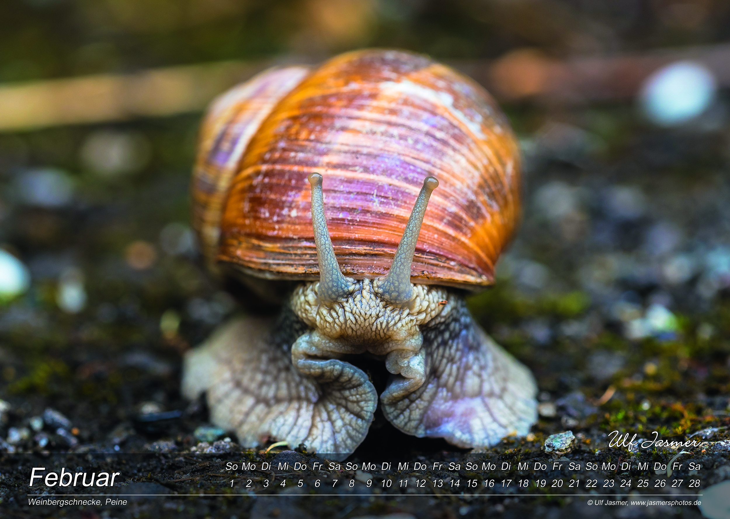 Kalender Flora & Fauna 2026 - 02